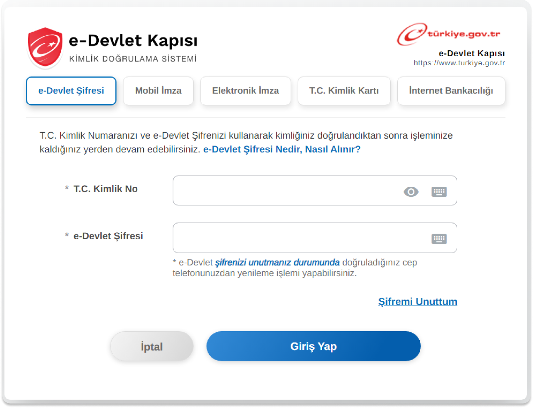 Edevlet Giriş